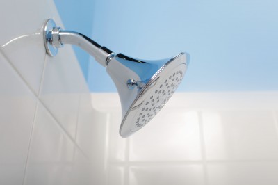 Vitalize Walk In Shower Head Vitalize Walk In Shower Head